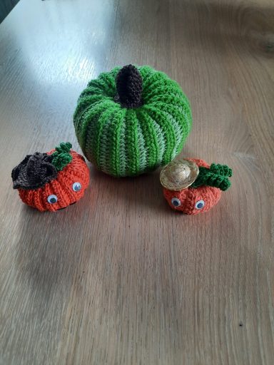 Kürbis klein 9€ Kürbis gross 15 €